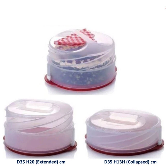 Cloche Ajustable Violet